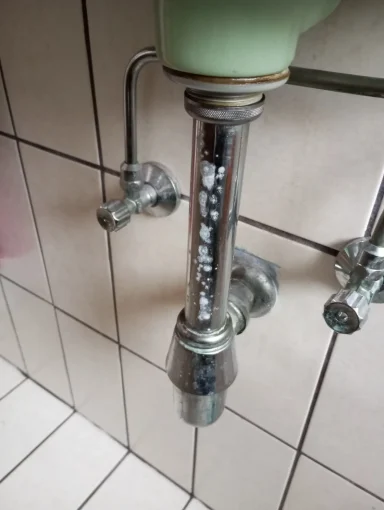 Kalt Siphon Waschbecken Mitwitz  