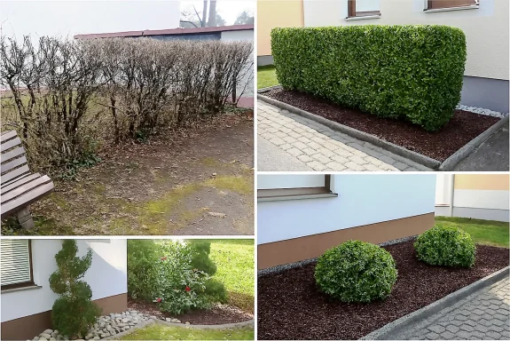 Auch Formschnitt gehört dazu Kronach