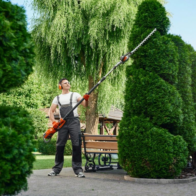 Mann beschnitten mit einer langen Heckenschere einen großen Busch in einem Park.