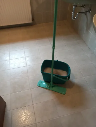 Boden Reinigung Mitwitz 