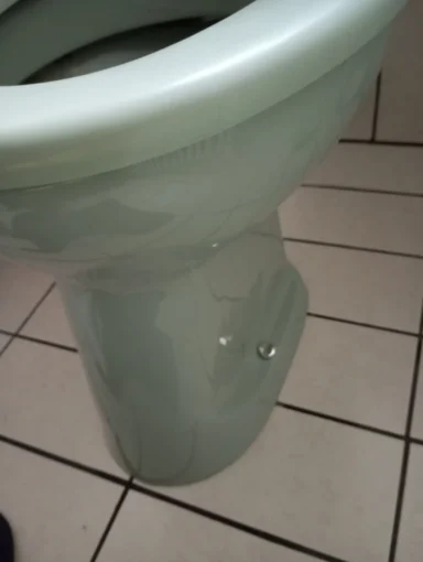 WCs Reinigung Mitwitz 