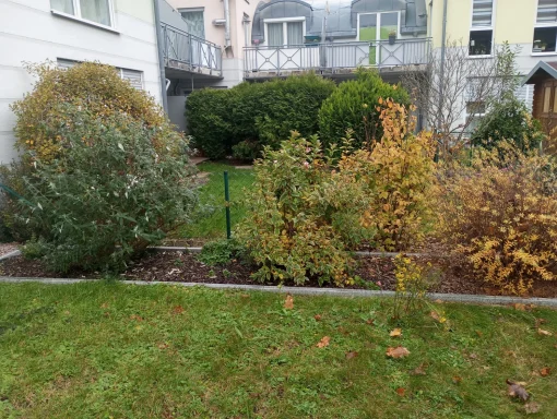 Herbst vor den rückschnitt 