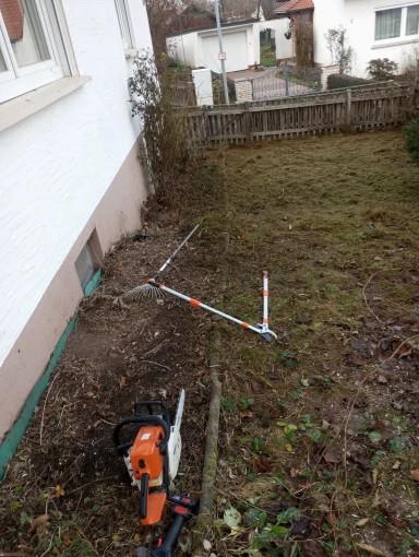 Urwald Garten Danach Sonnefeld 